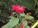DSC09286