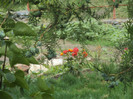 DSC09288