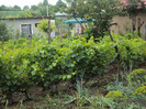 DSC09315