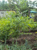 DSC09319