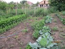 IMG_0712