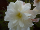 018