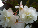 019