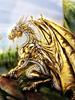 dragon de aur