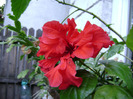 DSC06899