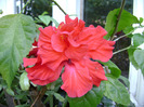 DSC06900