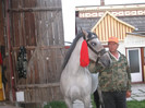 Gura Humorului 2011