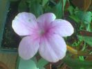 Imag017