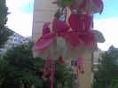 Imag021