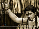 101639-amit-tandon[1]