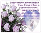 DRAGOSTEA