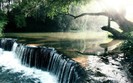 Water_Forest_-_Waterfalls_wallpapers_desktop