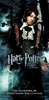 harry-potter-and-the-goblet-of-fire-696122l-imagine