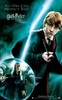 harry-potter-and-the-order-of-the-phoenix-489506l-imagine