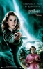 harry-potter-and-the-order-of-the-phoenix-564378l-imagine
