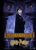 harry-potter-and-the-sorcerers-stone-266555l-imagine