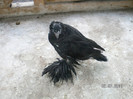 SANY0054