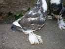 SANY0054