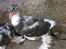 SANY0056