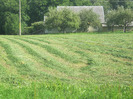 5 iulie 2011 039
