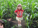 5 iulie 2011 041