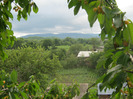 5 iulie 2011 049
