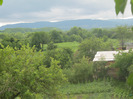 5 iulie 2011 050
