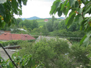 5 iulie 2011 052