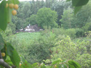 5 iulie 2011 055