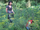 5 iulie 2011 062