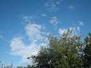 5 iulie 2011 063