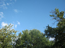 5 iulie 2011 064