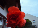 DSC02430
