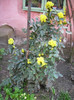 DSCI0679