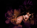 The-Vampire-Diaries-the-vampire-diaries-20829697-1024-768