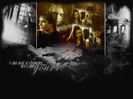 The-Vampire-Diaries-the-vampire-diaries-20829957-1024-768