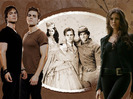 tvd