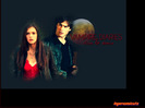 damon and elena