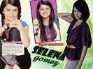 Sel-wall-made-selena-gomez-12762975-1024-768