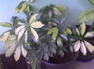 Imag028