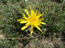 DSCF3986