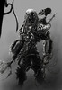 Cam asha arata un Predator..Daca n`ati vazut macar unul din filme :x