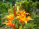 DSCI0648