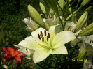 DSCI0650
