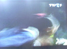 Dong Yi 93