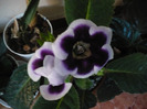 P1080546