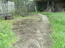 7 iulie 2011 008