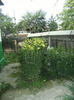 7 iulie 2011 009