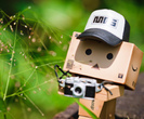 Danbo in natura