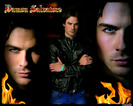 Damon-Salvatore-the-vampire-diaries-15755960-1280-1024